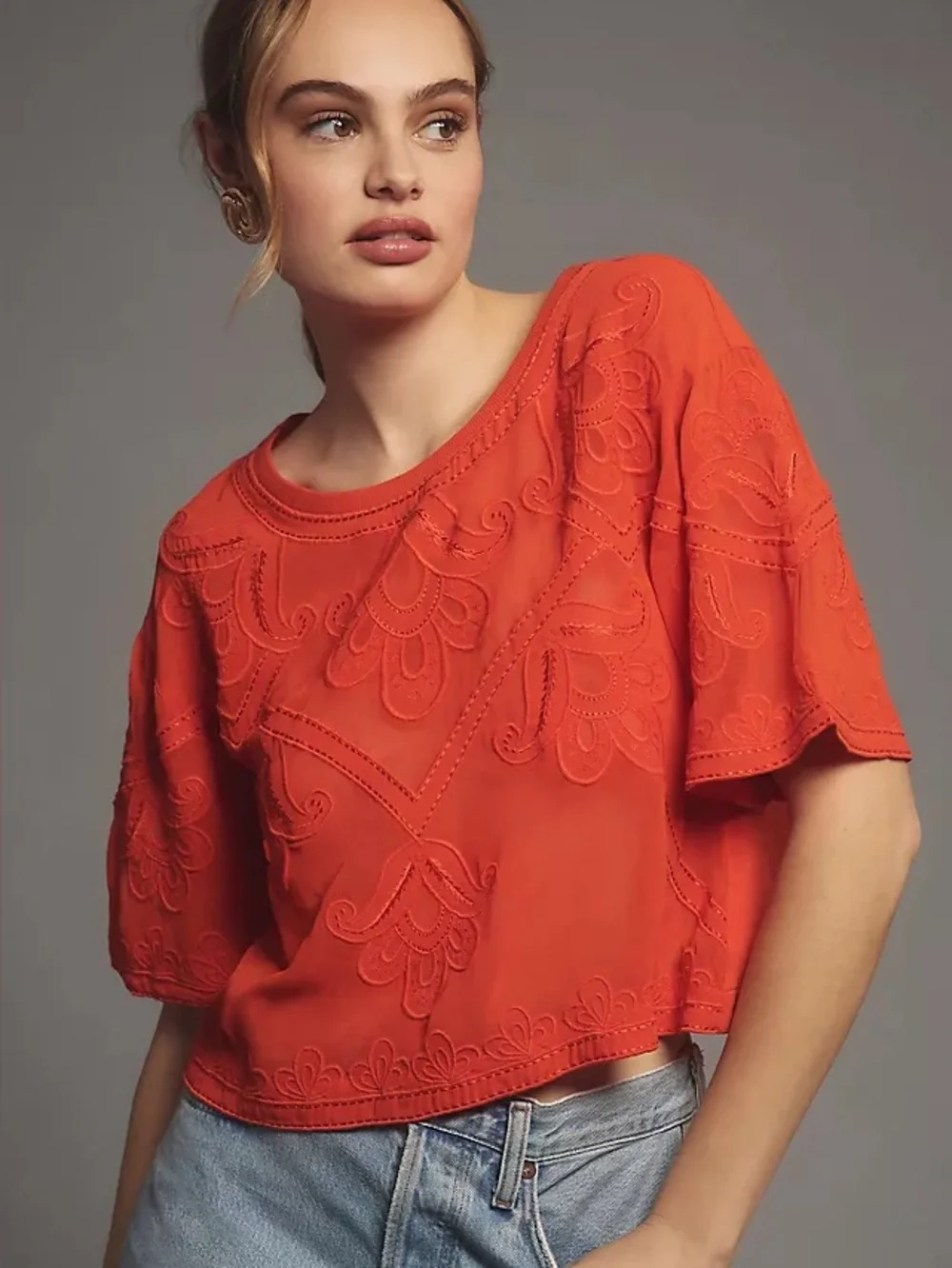 By Anthropologie Sheer Embroidered Boxy Top Size Small - Picture 1 of 9